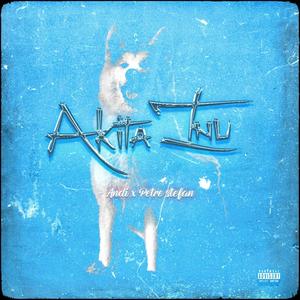 Akita Inu (feat. Petre Stefan) [Explicit]