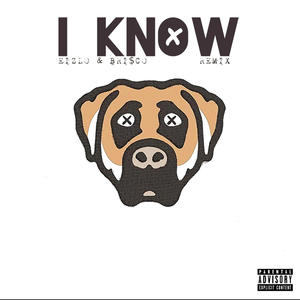 I Know (feat. Bri$co) [Remix] [Explicit]