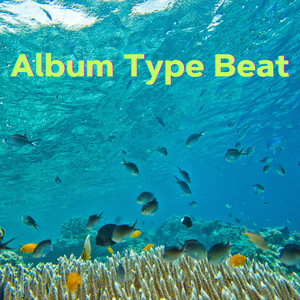 Album Type Beat (Explicit)