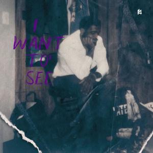 I WANT TO SEE (feat. LILMAYKER) (Explicit)