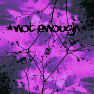 not enough (feat. RubyHatesGloom) [Explicit]