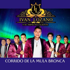 Corrido De La Mula Bronca