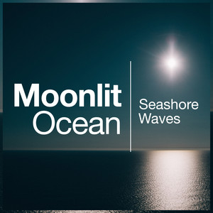 Moonlit Ocean