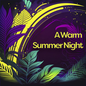 A Warm Summer Night