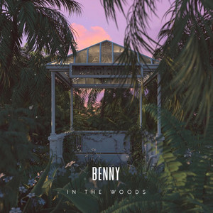 In the Woods (Explicit)