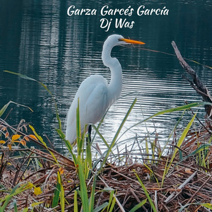 Garza Garcés García