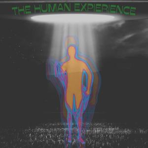 The Human Experience