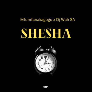 Shesha (feat. DJ Wah SA)