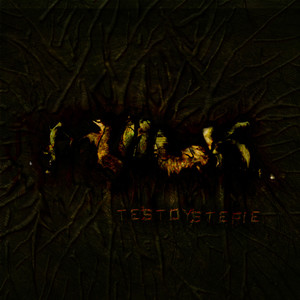 Manifest Biomecanique (Explicit)