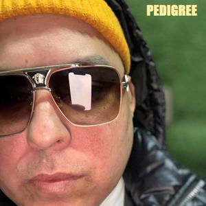 Pedigree (feat. King Flavs) (Explicit)