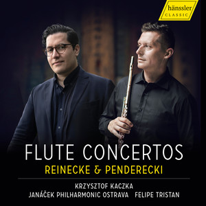 Flute Concerto D Major Op. 283 in D Major - Flute Concerto D Major Op. 283 Finale moderato