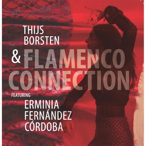 Flamenco Connection