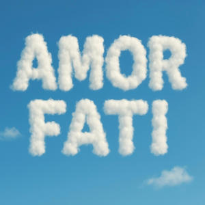 Amor Fati