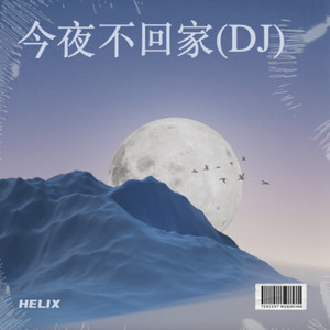 今夜不回家封面