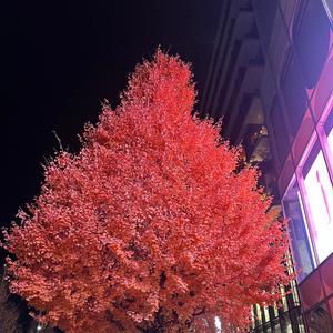 Who gonna love us (feat. Recrafted, Grailed! & Lzothy) (Explicit)