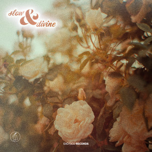 Slow.&.Divine