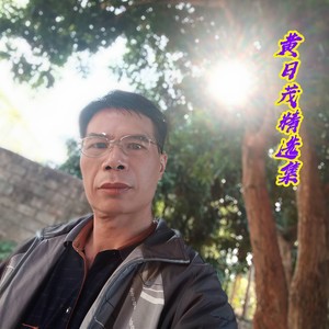 你的无情伤了我