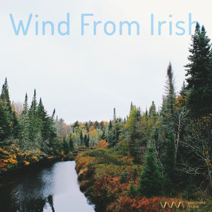 Irish Air