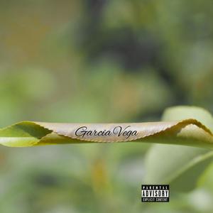 Garcia Vega (feat. Lil Cancer) [Explicit]