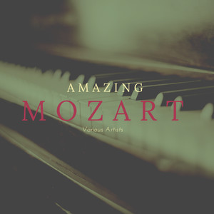 Divertimento in D Major, K. 334 - Divertimento in D Major, K. 334