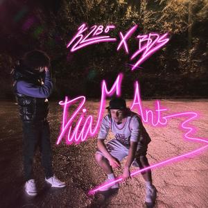 DIAMANT (feat. BDS) (Radio Edit)