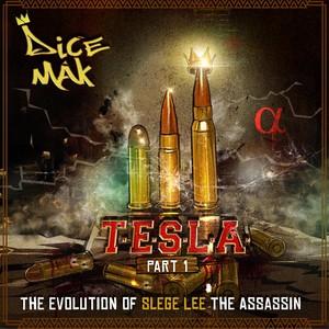T.E.S.L.A., Pt. 1: The Evolution of Slege Lee the Assassin