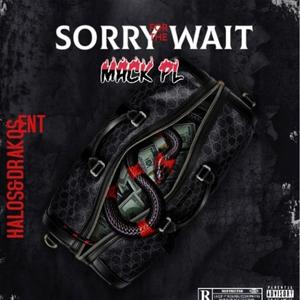 SORRY FOR THE WAIT (Explicit)