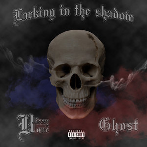Lurking In The Shadow (Explicit)