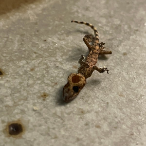 Better Me TODAY (Explicit)