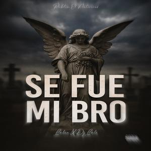 Se Fue Mi Bro (feat. Dj Lalo & Pablin El Antivirus|Explicit)