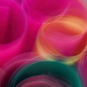 SHOUTOUT TACO 1200 (Explicit)