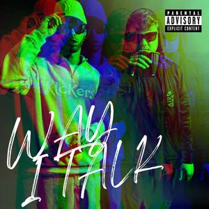Way I Talk (Explicit)