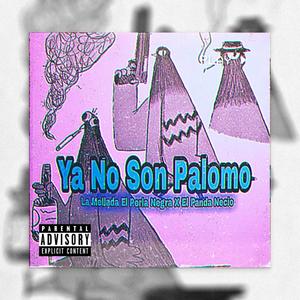 Ya No Son Palomo (feat. Panda Necio)