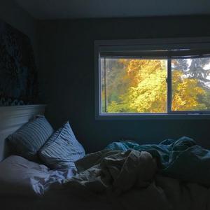 we can walk, over fallen leaves