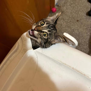 DPVRK - SÜP3RCHVRG3D (Explicit)