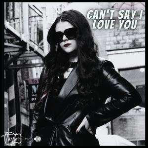 Cant say I love you