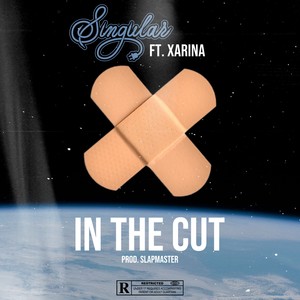 In The Cut (Explicit)
