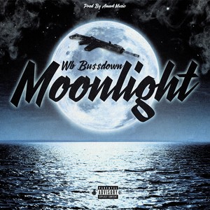 Moonlight (Explicit)