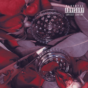 Eleven Roses (Explicit)