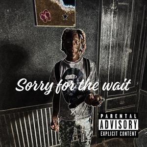 Sorry for the wait (Radio Edit) [Explicit]