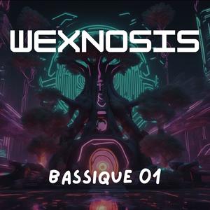 Bassique 01