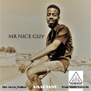 Mr Nice Guy