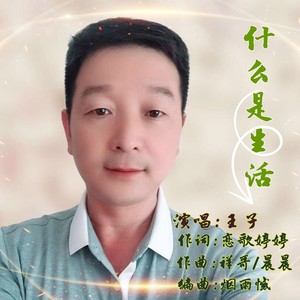 什么是生活 (伴奏)