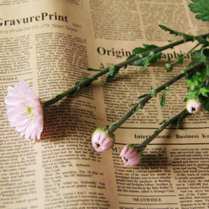 我的情深你若懂