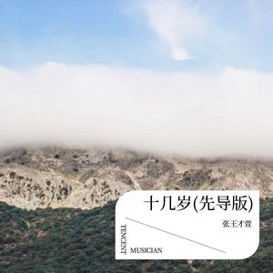 十几岁 (先导版)