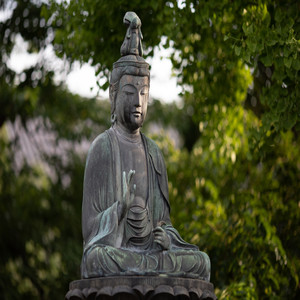 Buddhahood Relax Time, Pt. 22
