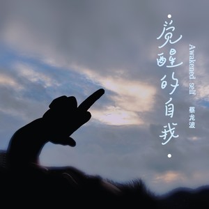 觉醒的自我 (伴奏)