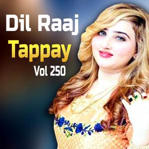 Stargay De Kaisata De Tappay