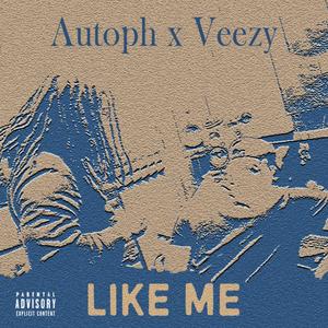 Like Me (Explicit)