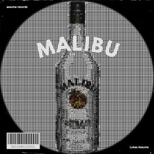 malibu (Explicit)